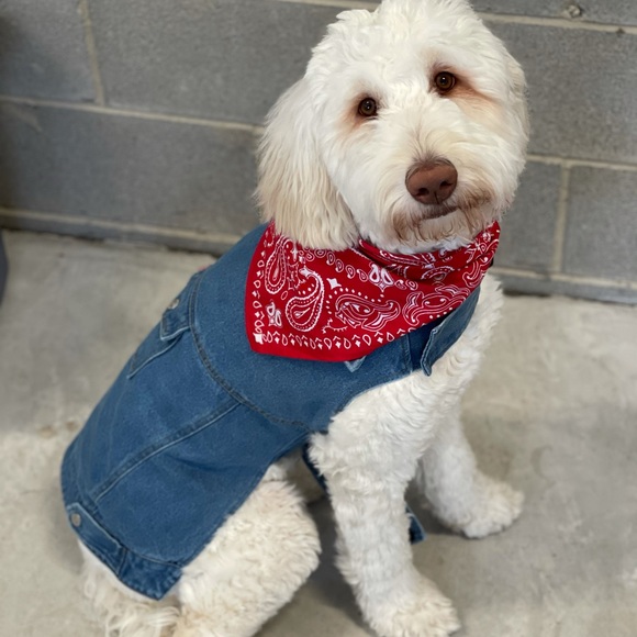 dog jean jacket target